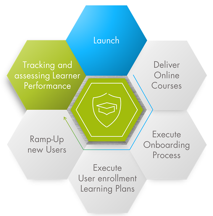 infographic-training